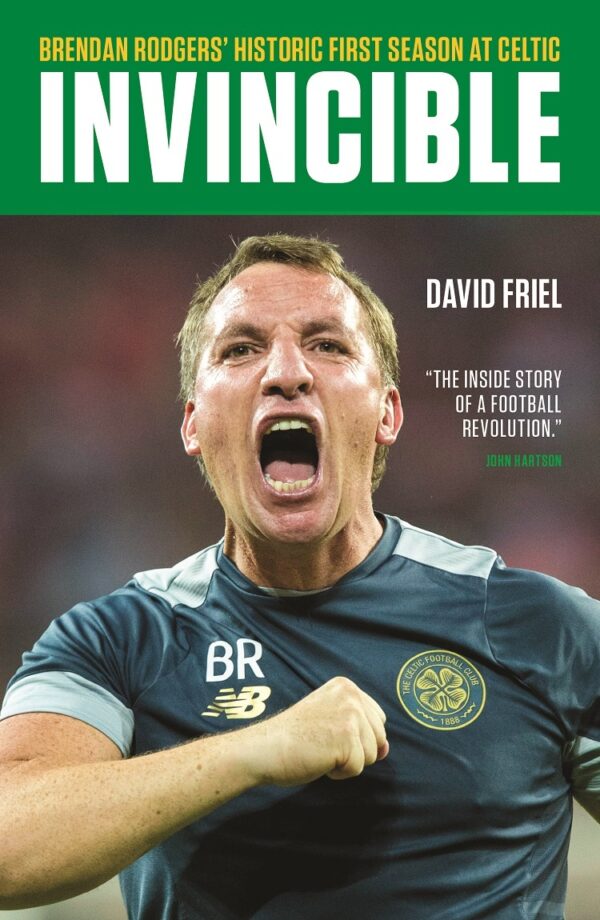 Invincible by David Friel cover